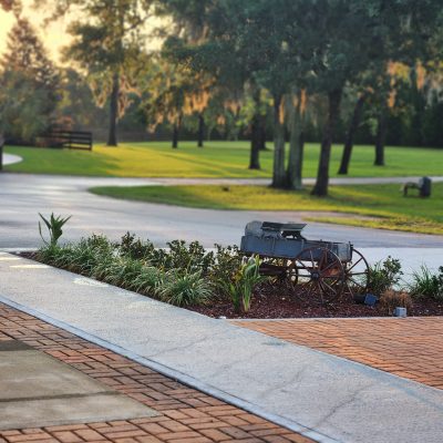 a path with trees on the side of a road