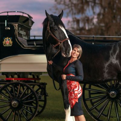 a person riding a horse drawn carriage