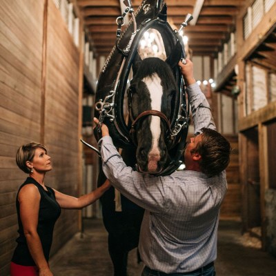 a person standing in front of a statue