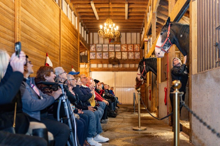 a group of people in a room