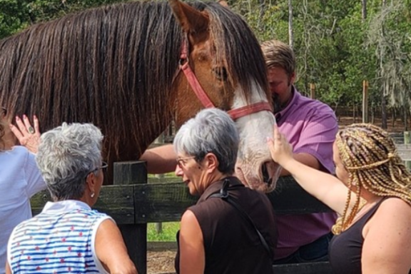a group of people riding on the back of a person
