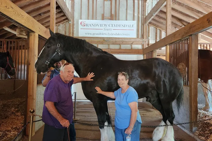 a horse standing in front of a building