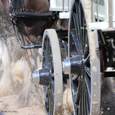 a car on a dirt road