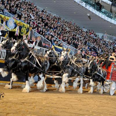 a group of people standing in front of a crowd
