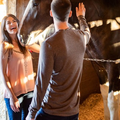 a person standing in front of a horse