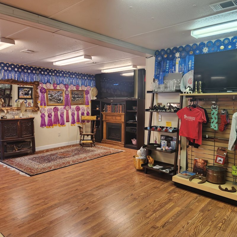 a store filled with lots of furniture